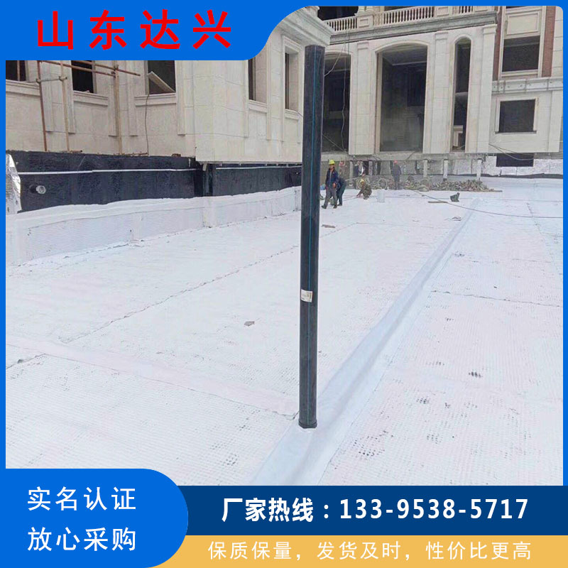 PED14高分子防护排水异形片