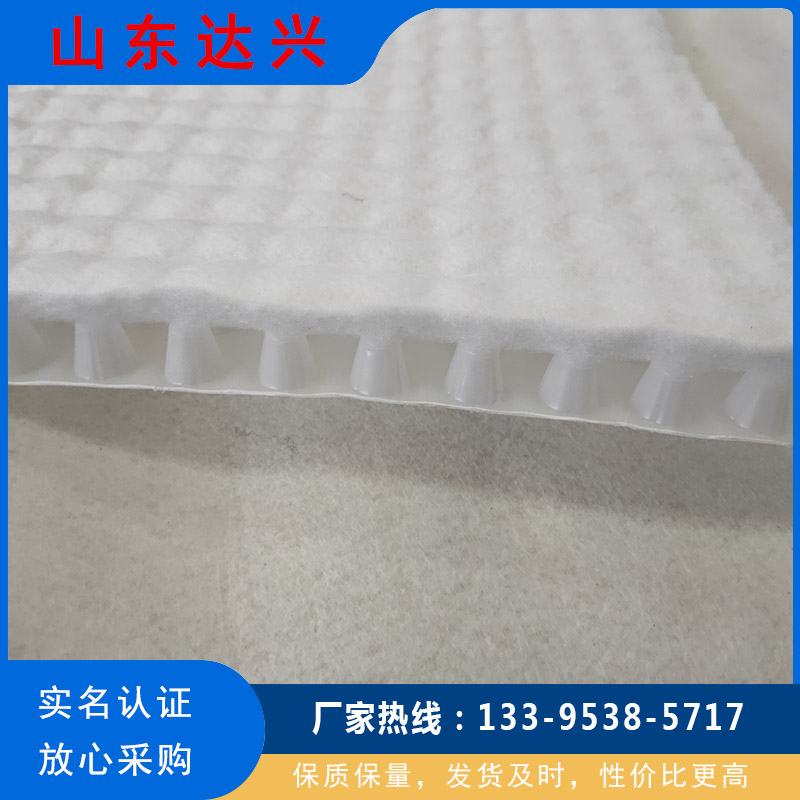 高分子防护排水异形片